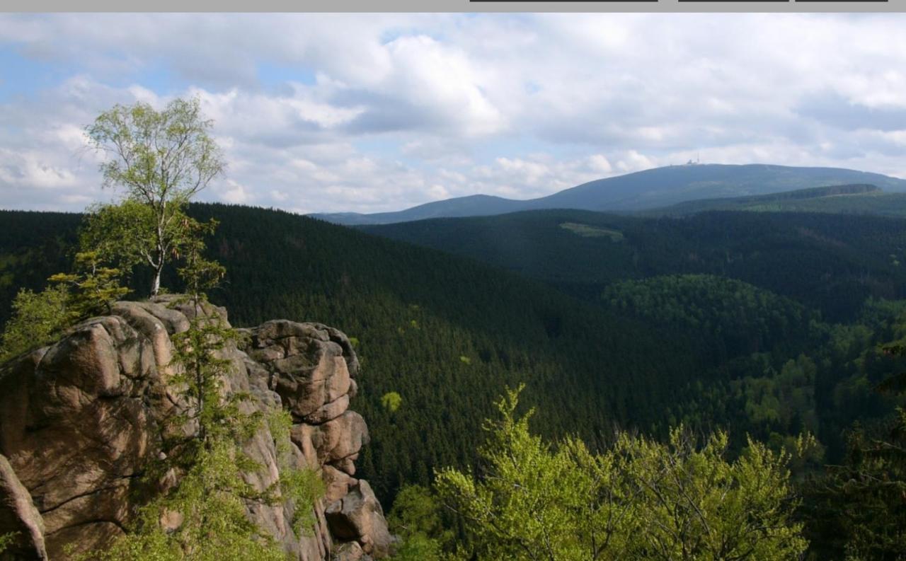 Walpurgis Hexe Apartment Braunlage Luaran gambar