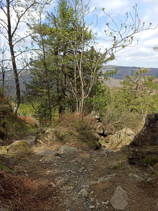 Walpurgis Hexe Apartment Braunlage Luaran gambar